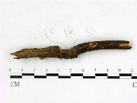 登錄號:F0003448藏品圖，第4張