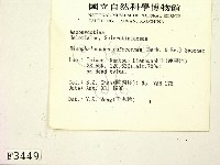 登錄號:F0003449藏品圖，第2張