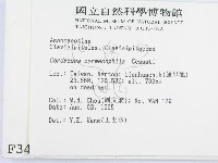 登錄號:F0003450藏品圖，第2張