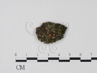 登錄號:F0003452藏品圖，第1張