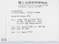 登錄號:F0003453藏品圖，第2張