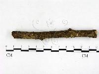 登錄號:F0003454藏品圖，第1張