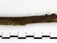 登錄號:F0003454藏品圖，第4張