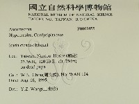 登錄號:F0003455藏品圖，第2張