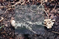 登錄號:F0003455藏品圖，第4張