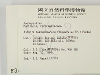 登錄號:F0003456藏品圖，第2張