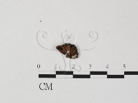 登錄號:F0003456藏品圖，第1張