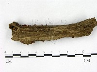 登錄號:F0003457藏品圖，第1張
