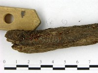 登錄號:F0003457藏品圖，第3張