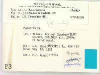 登錄號:F0003459藏品圖，第2張