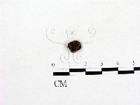 登錄號:F0003459藏品圖，第1張