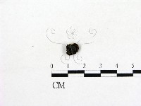 登錄號:F0003459藏品圖，第3張