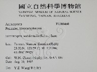 登錄號:F0003460藏品圖，第2張