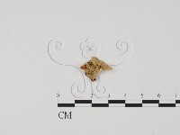 登錄號:F0003460藏品圖，第3張