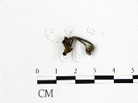 登錄號:F0003461藏品圖，第3張