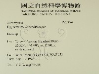 登錄號:F0003462藏品圖，第2張