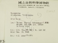 登錄號:F0003463藏品圖，第2張