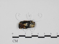 登錄號:F0003463藏品圖，第1張