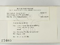 登錄號:F0003465藏品圖，第2張