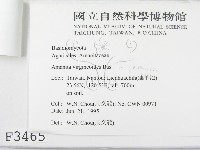 登錄號:F0003465藏品圖，第3張