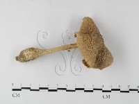 登錄號:F0003465藏品圖，第1張