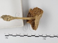 登錄號:F0003465藏品圖，第4張