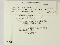 登錄號:F0003466藏品圖，第2張