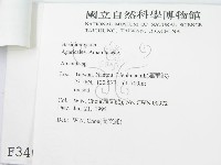 登錄號:F0003466藏品圖，第3張