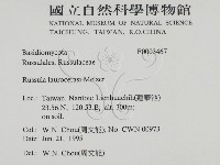 登錄號:F0003467藏品圖，第2張