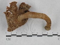 登錄號:F0003467藏品圖，第3張