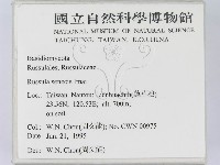 登錄號:F0003469藏品圖，第2張