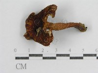 登錄號:F0003469藏品圖，第3張