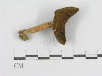 登錄號:F0003474藏品圖，第3張