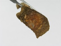 登錄號:F0003474藏品圖，第4張