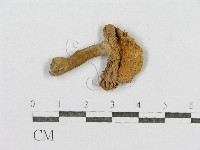 登錄號:F0003475藏品圖，第1張