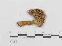 登錄號:F0003475藏品圖，第3張