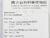 紅菇屬藏品圖，第2張