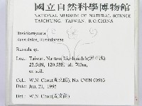 紅菇屬藏品圖，第2張