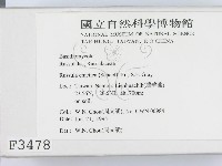 登錄號:F0003478藏品圖，第2張