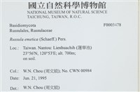 登錄號:F0003478藏品圖，第4張
