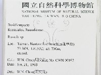 紅菇屬藏品圖，第2張