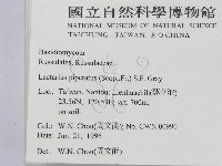 登錄號:F0003484藏品圖，第2張