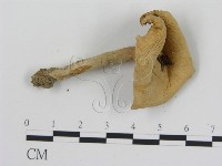 登錄號:F0003484藏品圖，第1張