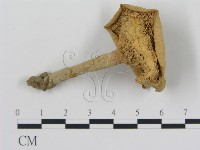 登錄號:F0003484藏品圖，第3張