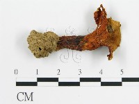 登錄號:F0003485藏品圖，第3張