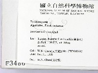 登錄號:F0003486藏品圖，第2張