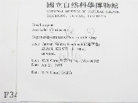 登錄號:F0003487藏品圖，第2張