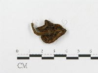 登錄號:F0003488藏品圖，第1張