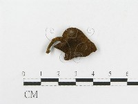 登錄號:F0003488藏品圖，第3張