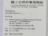 登錄號:F0003489藏品圖，第2張